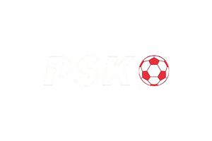 pregled-482-prikaz
